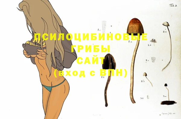 меф Абинск
